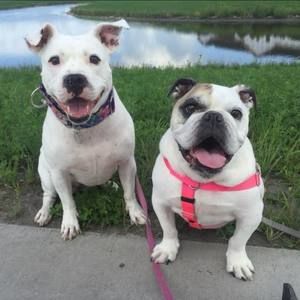 Meet your Posher, Mary